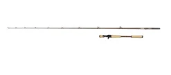 Canne Casting Abu Garcia Beast Pro2 Live