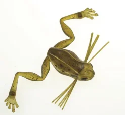 Leurre Souple Harima Nagamaeru