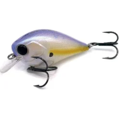 Poisson Nageur Damiki BTC60