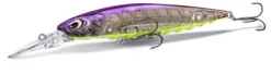Poisson Nageur Nay's MD MX 95 MR