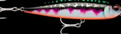 Poisson Nageur Rapala Xtreme Pencil 127
