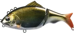 Poisson-nageur Bone Focus 130F