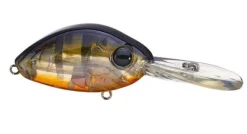 Poisson-nageur Damiki DC200