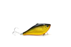 Poisson-nageur Damiki Napjaru