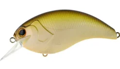 Poisson-nageur Deps Evoke 4.0