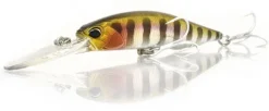 Poisson-nageur DUO Realis Jerkbait 100DR