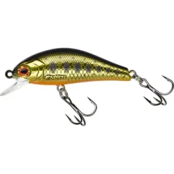 Poisson-nageur Gunki Rodan 40 SHW
