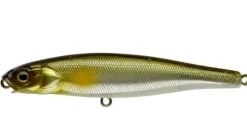 Poisson-nageur Illex Clyde Mud Sucker
