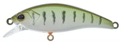 Poisson-nageur Illex Flat Tricoroll 45S