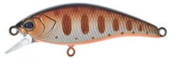 Poisson-nageur Illex Flat Tricoroll 55S