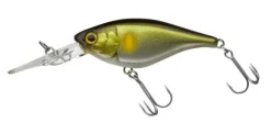 Poisson-nageur Illex Soul Flat 58SF