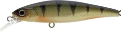 Poisson-nageur Illex Squad Minnow 95 SP