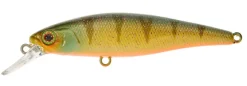 Poisson-nageur Illex Squad Minnow 65 SP