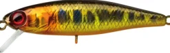 Poisson-nageur Illex Tiny Fry 38 SP
