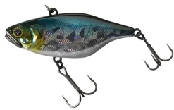 Poisson-nageur Illex TN80