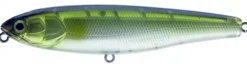 Poisson-nageur Illex Water Monitor 85