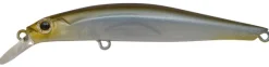 Poisson-nageur Jackson Artist FR80