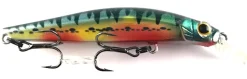 Poisson-nageur Jackson Artist FR70