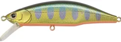 Poisson-nageur Jackson Meteora 70