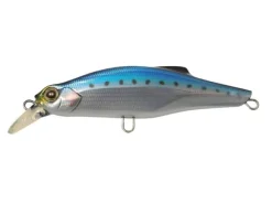 Poisson-nageur Jackson Pintail 35