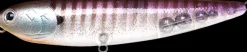 Poisson-nageur Lucky Craft Sammy 100