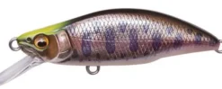 Poisson-nageur Megabass Great hunting 51 Humpback