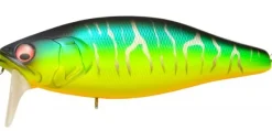 Poisson-nageur Megabass I Jack
