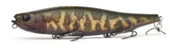 Poisson-nageur Megabass Megadog 180