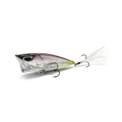 Poisson-nageur Nay's TP GN