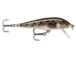 Poisson-nageur Rapala Countdown 5cm