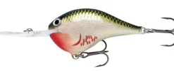 Poisson-nageur Rapala Dive To DT14