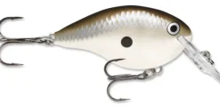 Poisson-nageur Rapala Dive To DT6