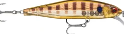 Poisson-nageur Rapala Precision Xtreme Air Boss 10cm