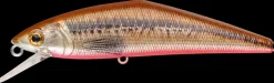 Poisson-nageur Smith D-Contact FES 5cm