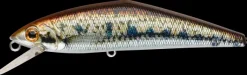 Poisson-nageur Smith D-Contact FES 6.3cm
