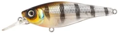 Poisson-nageur Spro Ikiru Shad SL