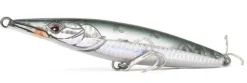 Poisson-Nageur Xorus Asturie 110 Silent