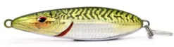 Poisson-nageur Xorus Flapsturie120