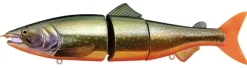 Poisson-nageur Zerek Affinity